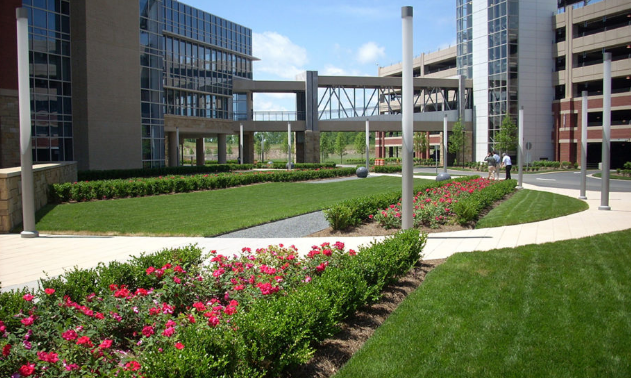 Lowe's Corporate Office Headquarters Address, Email, Phone Number